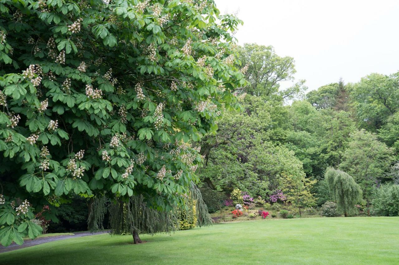 West Plean House Bed and Breakfast Stirling Exterior foto